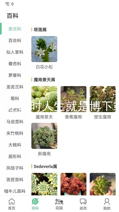 尊龙凯时人生就是博下载