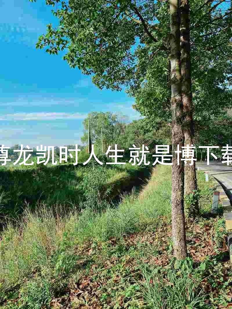 尊龙凯时人生就是博下载