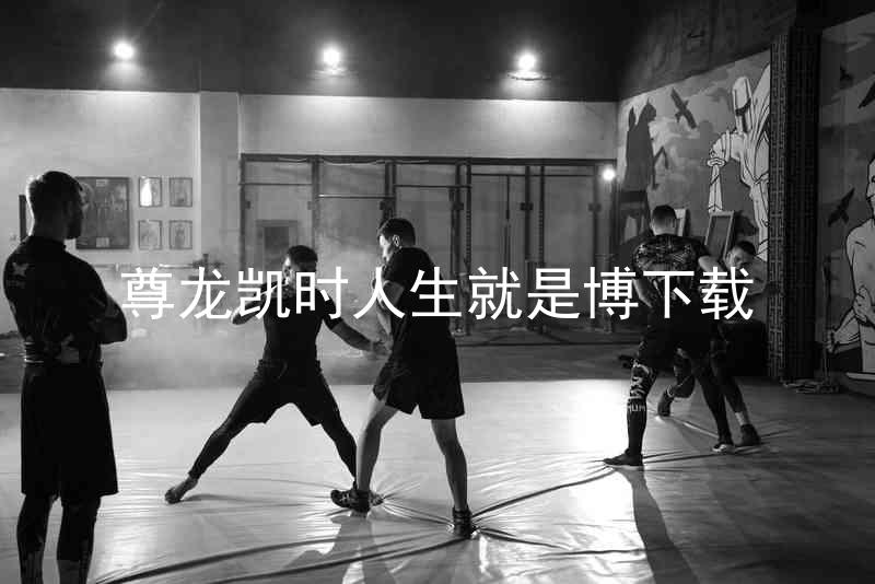 尊龙凯时人生就是博下载