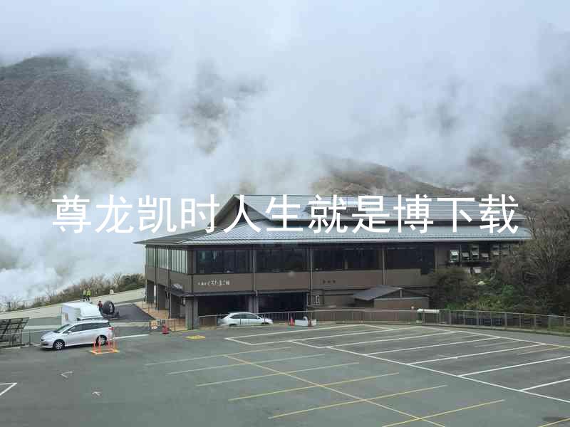 尊龙凯时人生就是博下载